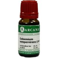 GELSEMIUM SEMPERVIRENS LM 6 Dilution 10 ml kaufen und sparen