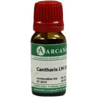 CANTHARIS LM 30 Dilution 10 ml über kaufen und sparen