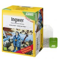 INGWER KRÄUTER-GEWÜRZTEE-Mischung Bio Salus Fbtl. 40 St