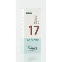 BIOCHEMIE Pflüger 17 Manganum sulfuricum D 6 Tabl. 100 St