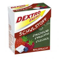 DEXTRO ENERGY Schulstoff Waldfrucht Täfelchen 50 g