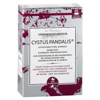 CYSTUS Pandalis Lutschtabletten 66 St kaufen und sparen