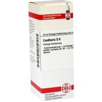 CANTHARIS D 6 Dilution 20 ml über kaufen und sparen