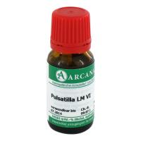 PULSATILLA LM 6 Dilution 10 Milliliter kaufen und sparen