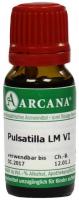 Arcana Pulsatilla 6 Lm Dilution Verdünnung 10ml kaufen und sparen