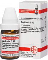 Cantharis D12 10 g Globuli über kaufen und sparen